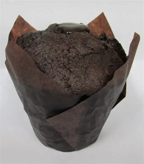 Double chocolate muffin
